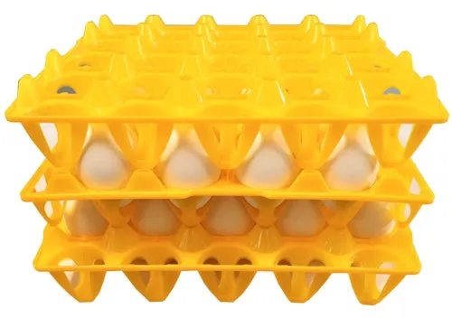 12 Pack of 20 Duck, Goose, Turkey, & Peafowl Size Egg Trays