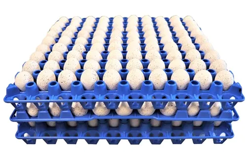 12 Pack of 90 Quail, Pigeon, Dove, & Bird Size Egg Trays