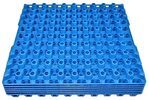 12 Pack of 90 Quail, Pigeon, Dove, & Bird Size Egg Trays