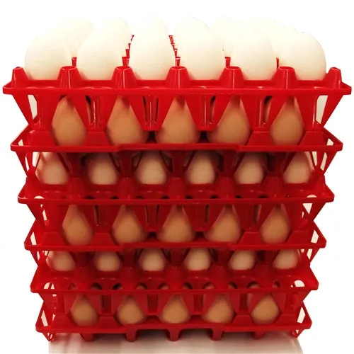 24 Pack of Rite Farm Products 30 Chicken Egg Poly Trays