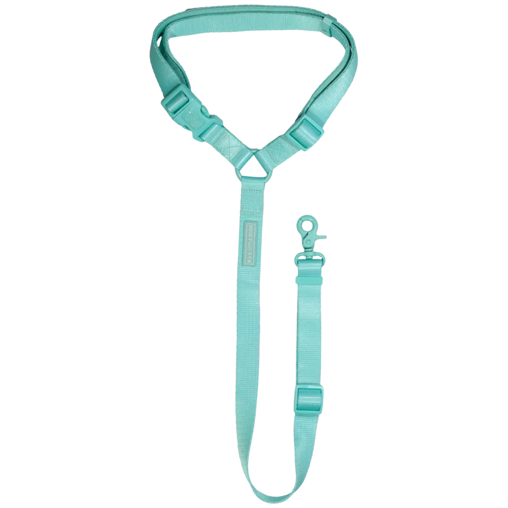 Big & Little Dog Premium Car Headrest Restraint - Aqua
