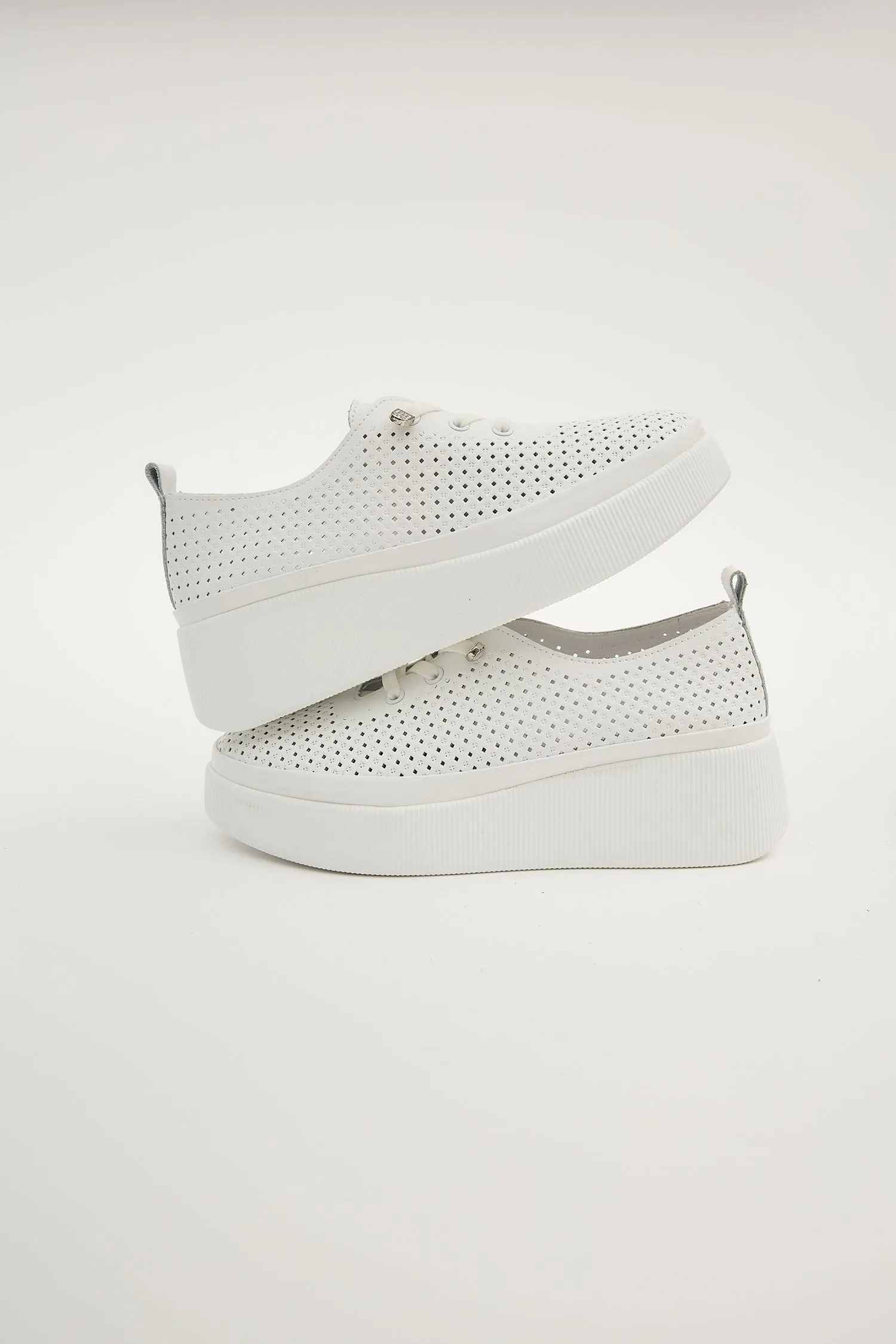 Nevada White