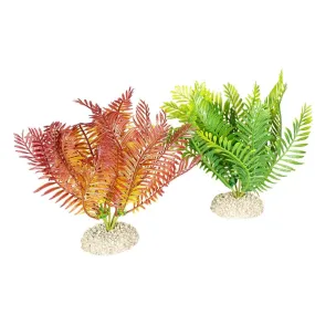 Plant Bolbitis M - Height 17,5Cm Mixed Colors